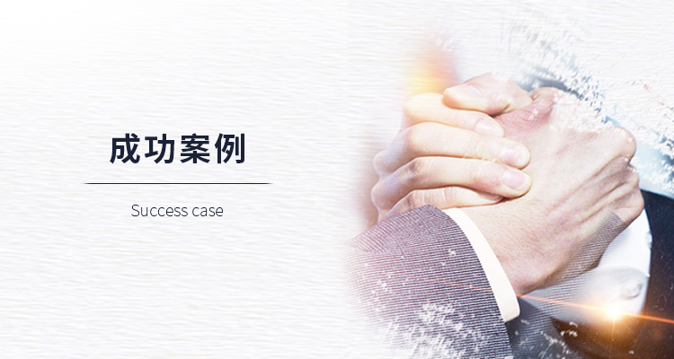 成功案例