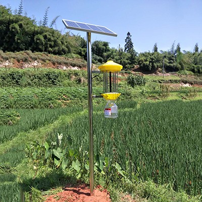 太陽能殺蟲燈實景圖 太陽能殺蟲燈實景圖