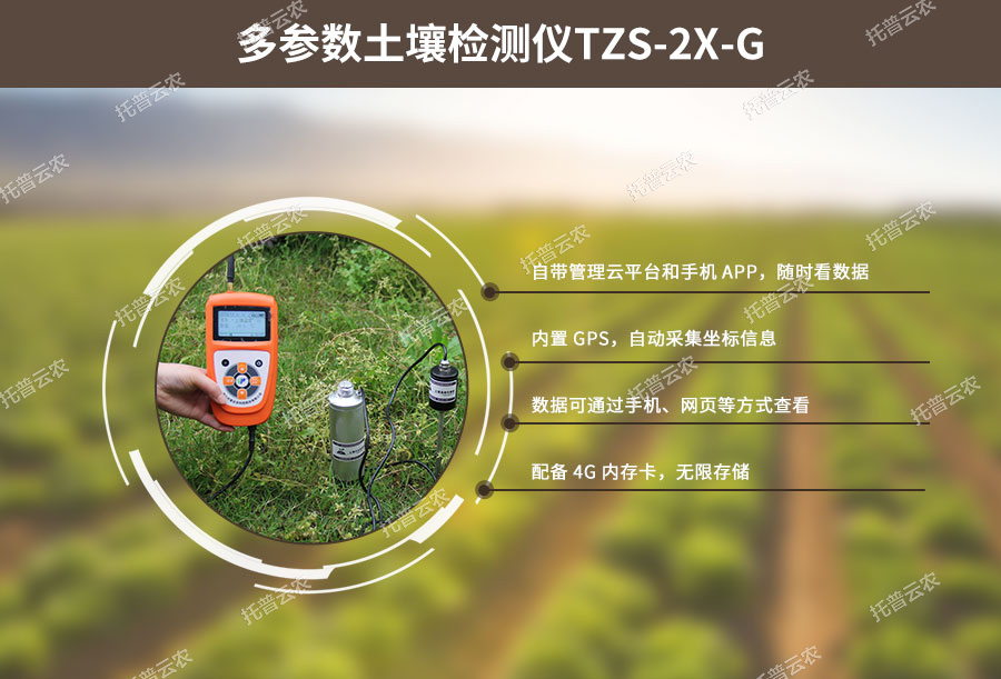 伊人网站视频水分溫度測定儀設計特點 伊人网站视频水分溫度測定儀設計特點