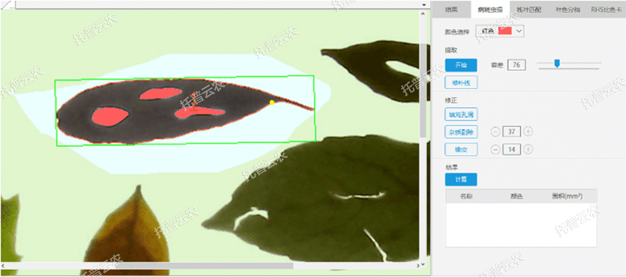 病斑蟲損分析 病斑蟲損分析