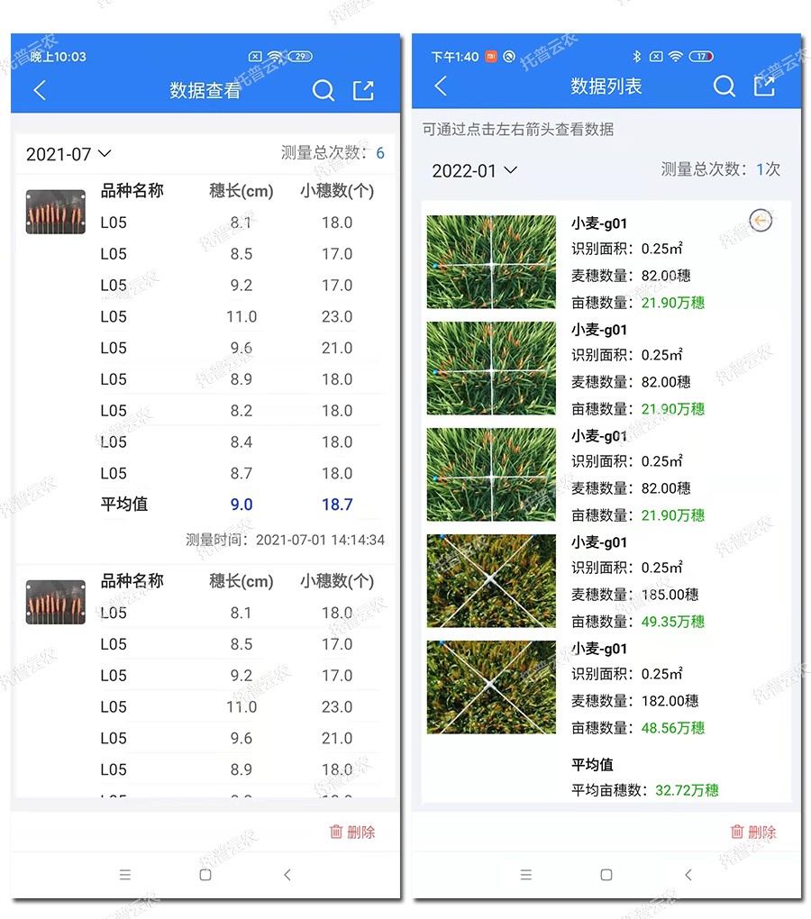 小麥表型檢測儀數據結果2 小麥表型檢測儀數據結果2