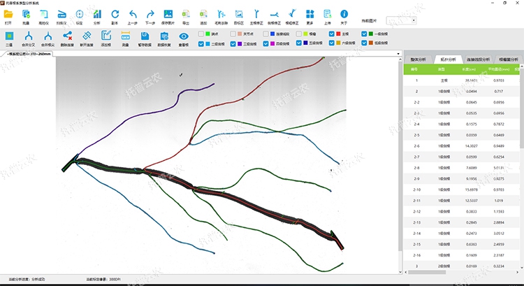 拓撲分析 拓撲分析