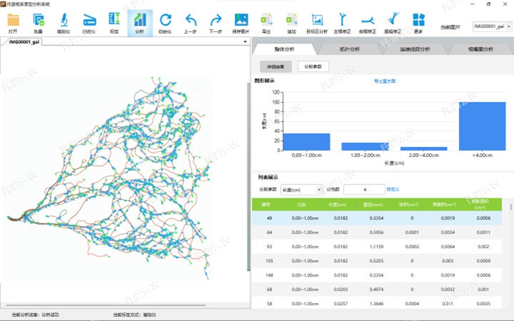 整體分析 整體分析