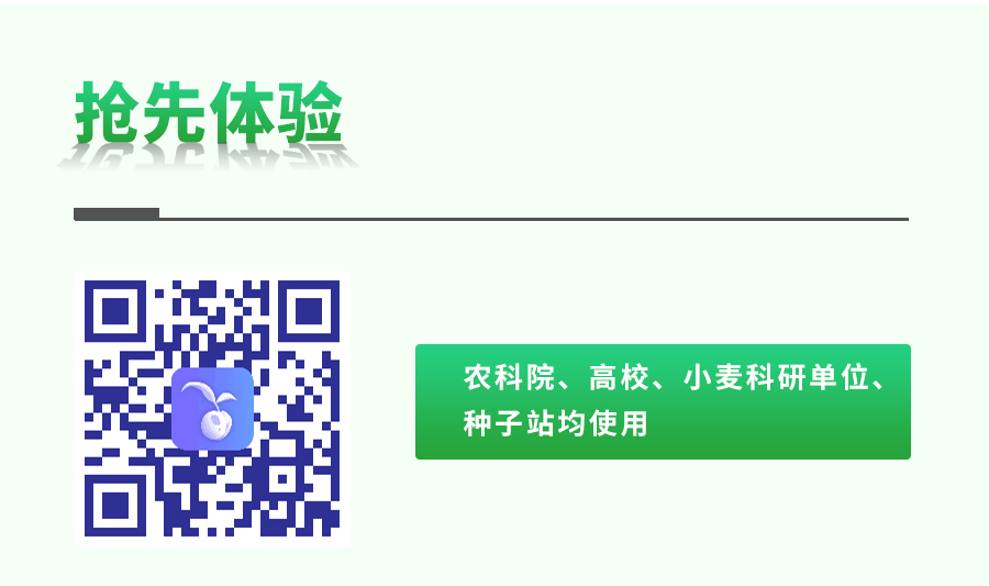 小麥表型檢測儀 小麥表型檢測儀