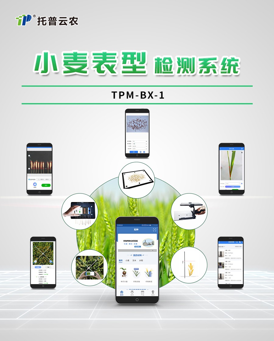 小麥表型檢測儀 小麥表型檢測儀