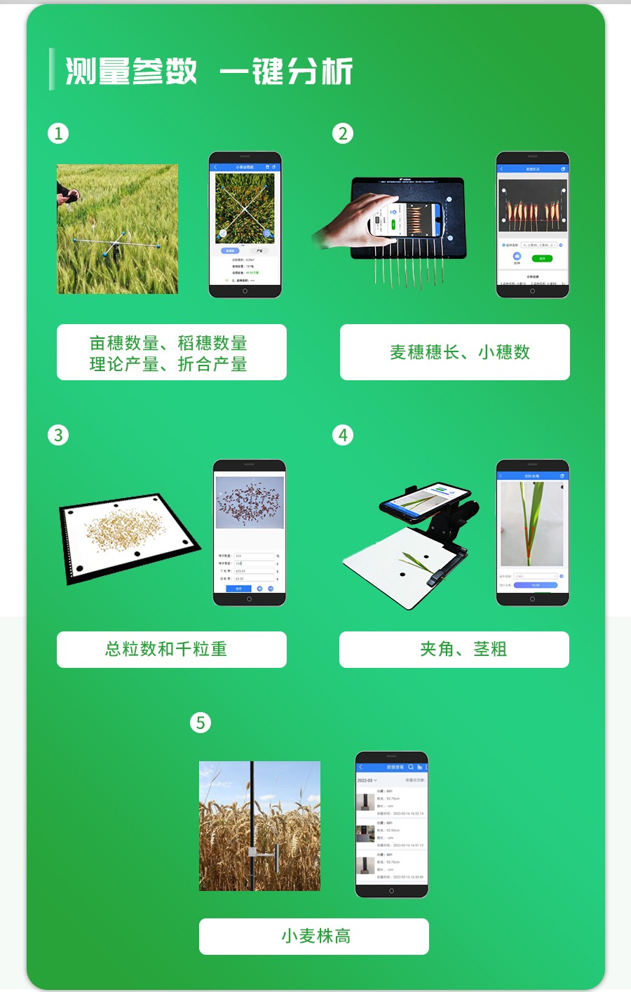 小麥表型檢測儀 小麥表型檢測儀