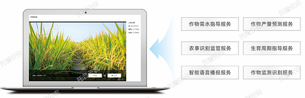 1685944809476588.jpg 13.jpg