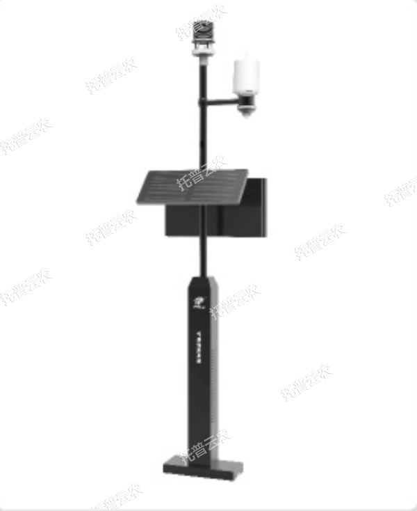 1685947317223695.jpg 8.jpg