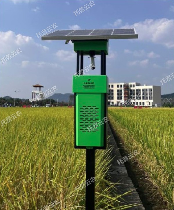 1685948587369001.jpg 10.jpg