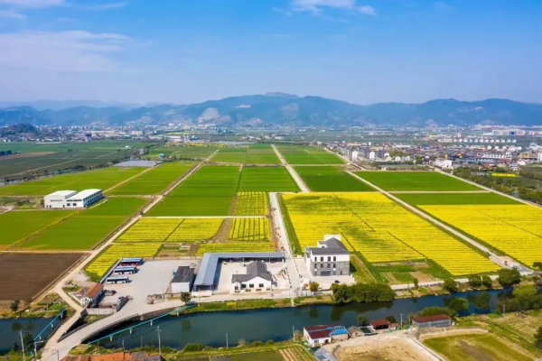 1721292289592426.png SEO (5).png