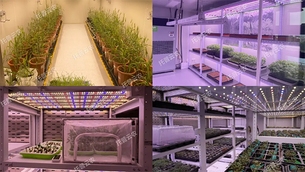 1727167026582812.png 4.png