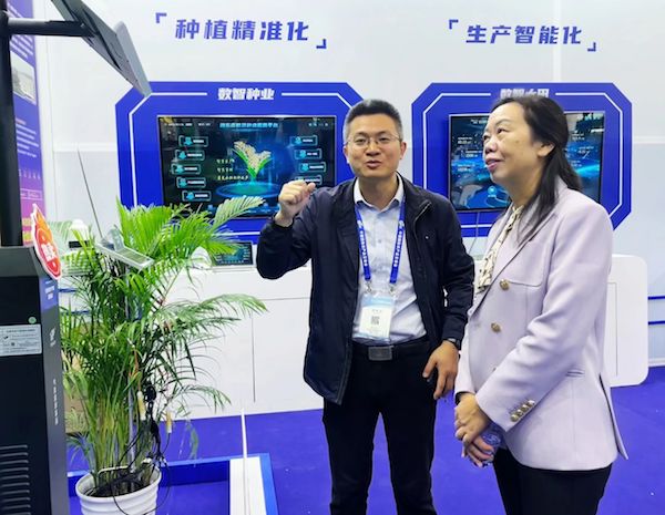 1733105777761673.jpg 5.jpg