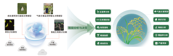 1734425921514688.jpg 3.jpg